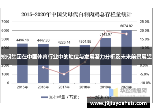 姚明集团在中国体育行业中的地位与发展潜力分析及未来前景展望